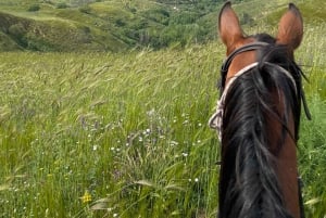 Enna: przejażdżka konna z aperitifem i malowniczymi widokami