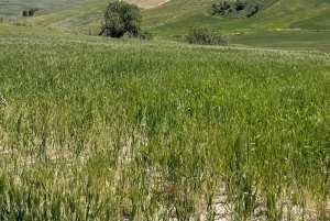 Enna, Sicilia: Ridetur gjennom innlandsstier