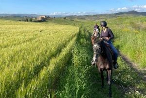 Enna, Sicilia: Ridetur gjennom innlandsstier