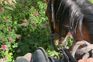 Enna, Sicilia: Ridetur gjennom innlandsstier