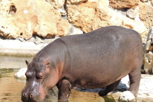 Carini: admission ticket to the Biopark of Sicily