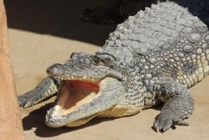 Carini: admission ticket to the Biopark of Sicily