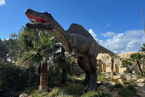 Carini: admission ticket to the Biopark of Sicily