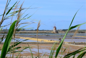 パレルモ発エリチェとセジェスタの多言語ツアー
