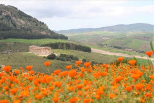 パレルモ発エリチェとセジェスタの多言語ツアー