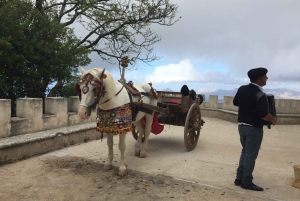 From Trapani: Erice Walking Tour and Local Products Tasting