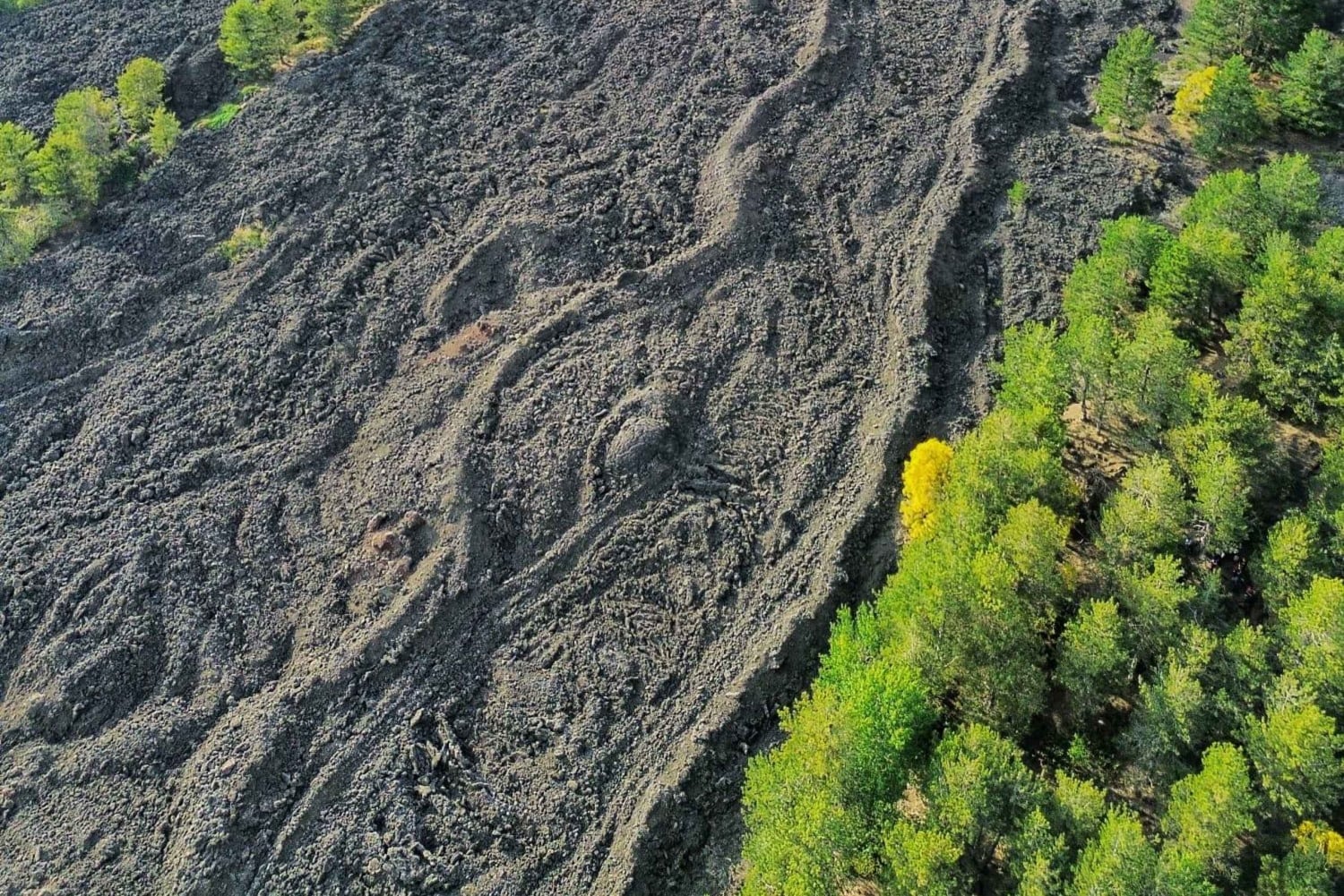 ONTDEK DE ETNA VANUIT CATANIA: makkelijke tour met gratis ophalen