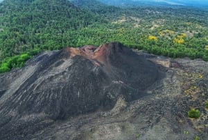 ESPLORA L’ETNA DA CATANIA: tour facile con prelievo gratuito
