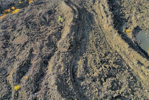 ONTDEK DE ETNA VANUIT CATANIA: makkelijke tour met gratis ophalen