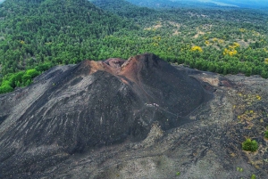 ONTDEK DE ETNA VANUIT CATANIA: makkelijke tour met gratis ophalen