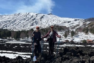 Catania: Mount Etna 3000m Tour with Hotel Pickup