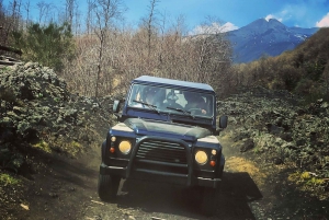 From Catania or Taormina: Mount Etna Guided 4x4 Tour