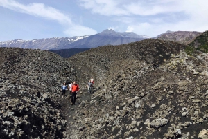 From Catania or Taormina: Mount Etna Guided 4x4 Tour