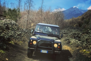 From Catania or Taormina: Mount Etna Guided 4x4 Tour