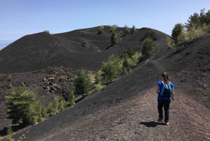 From Catania or Taormina: Mount Etna Guided 4x4 Tour