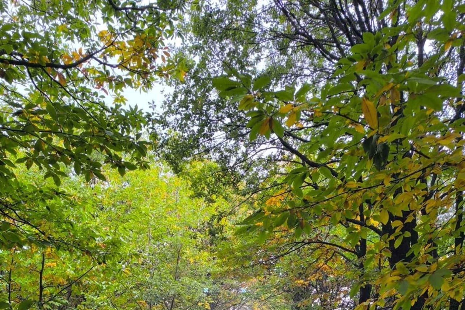 Etna Adventure 4X4 off-road Tour från Catania