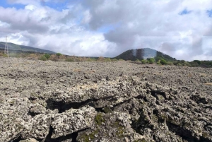 Etna Adventure 4X4 off-road Tour från Catania