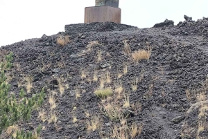 Etna Adventure 4X4 off-road Tour från Catania