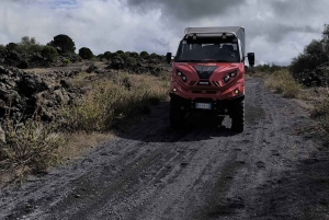 Etna Adventure 4X4 off-road Tour från Catania