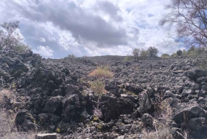 Etna Adventure 4X4 off-road Tour från Catania