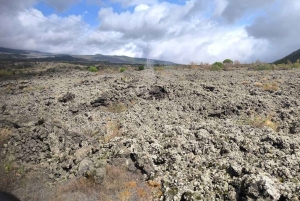 Etna Adventure 4X4 off-road Tour från Catania