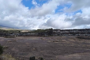 Etna Adventure 4X4 off-road Tour från Catania