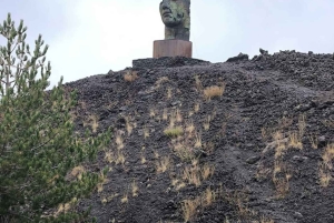 Etna Adventure 4X4 off-road Tour från Catania