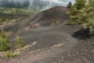 Этна и вино: впечатления от кратеров, вулканических ландшафтов и сицилийских вкусов