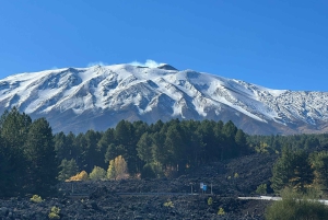 Этна и вино: впечатления от кратеров, вулканических ландшафтов и сицилийских вкусов