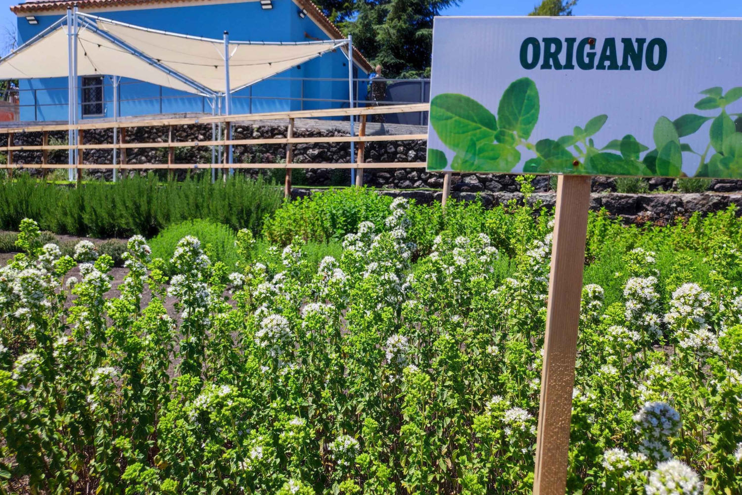 Etna Aromatic Experience: Aromas da Sicília e Sabores de Autor