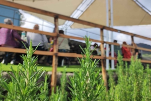 Etna Aromatic Experience: Aromas da Sicília e Sabores de Autor