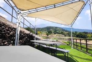 Etna Aromatic Experience: Aromas da Sicília e Sabores de Autor