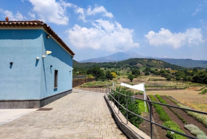 Etna Aromatic Experience: Aromas da Sicília e Sabores de Autor