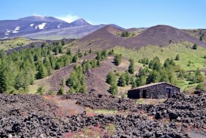 From Taormina: Mount Etna Guided Bus Tour