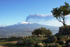 Da Taormina: Tour guidato dell'Etna in autobus