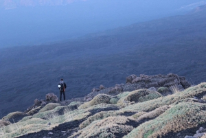 Etna: Bove Valley Hiking Tour with Volcanologist Guide