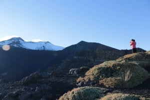 Etna: to 3.000 m with a Volcano Guide