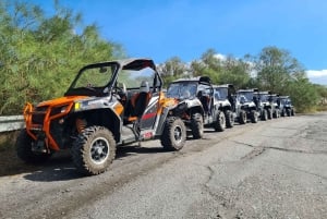 エトナバギー 4x4 ツアー