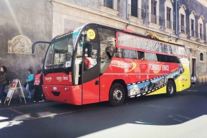 Etna en autobús panorámico, audioguía en 9 idiomas, desde Catania.