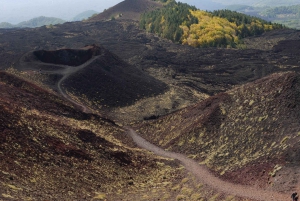 Etna en autobús panorámico, audioguía en 9 idiomas, desde Catania.