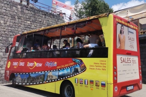 Etna en autobús panorámico, audioguía en 9 idiomas, desde Catania.
