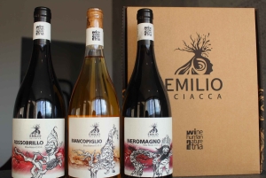 Этна DOC: Совет по местным продуктам с дегустацией вин Этны