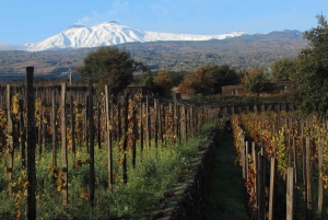 Этна DOC: Совет по местным продуктам с дегустацией вин Этны