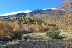 Etna excursion from Taormina and surroundings