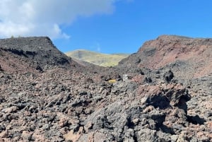 ETNA VOLCANO: Excursion to the Craters of 2002