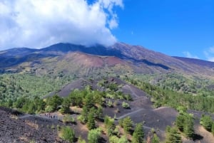 From Catania: Mount Etna and Alcantara Gorges Day Trip