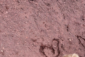 Etna Family Tour: semi-private tour on Etna mt. for families