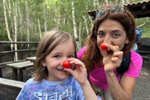 Etna Family Tour: semi-private tour on Etna mt. for families