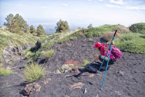 Etna Family Tour: tour semi-privato sull'Etna per famiglie