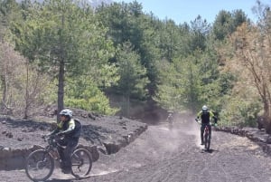 Etna: Half-Day Mt Etna Mountain Bike Tour